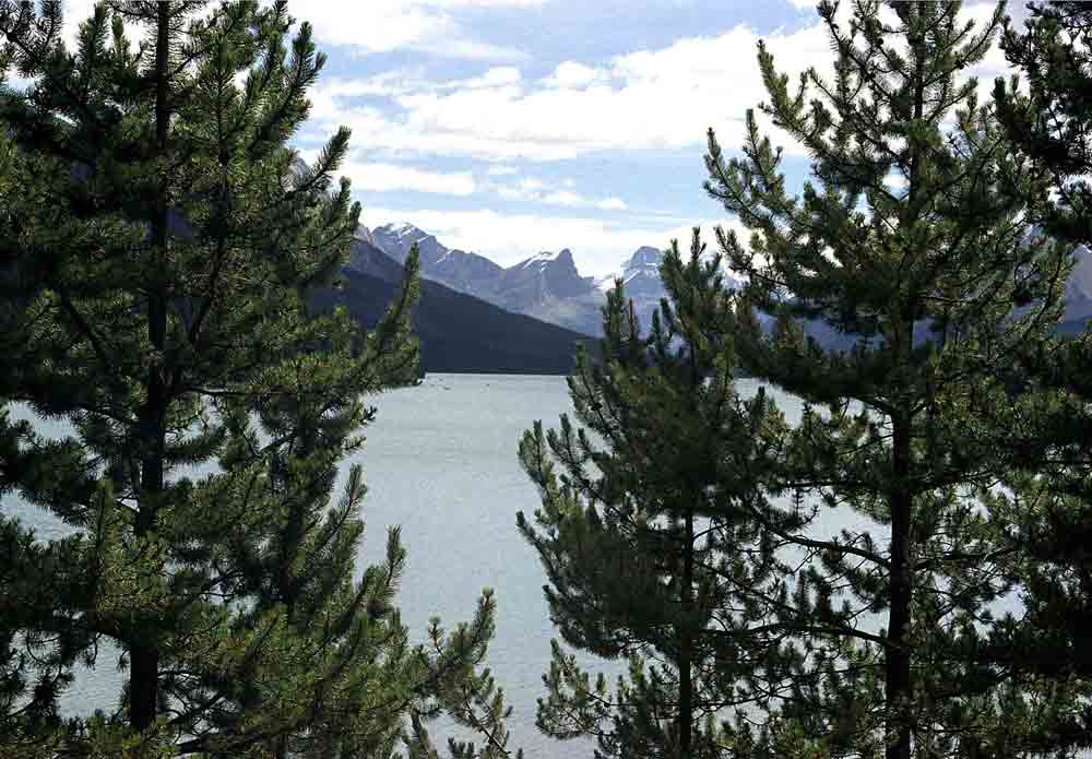 85 - Canada - parque nacional de Jasper, lago Maligne